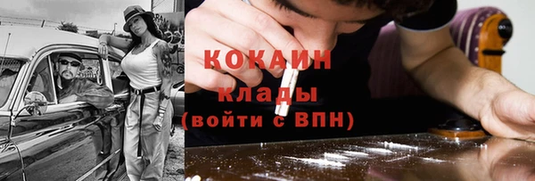 индика Абинск