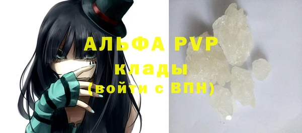индика Абинск