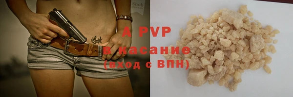 индика Абинск