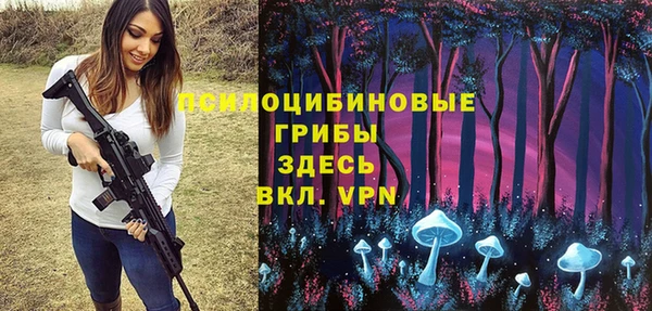 apvp Алексеевка