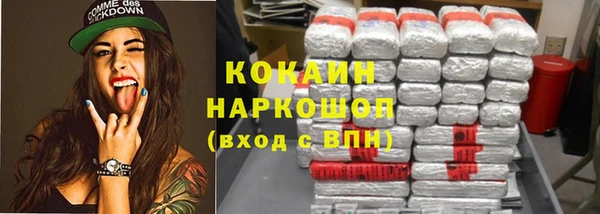 индика Абинск
