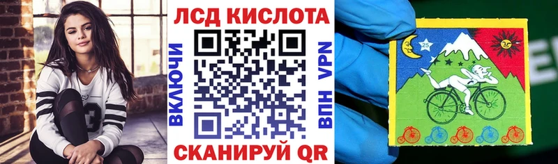 мориарти телеграм  цена   Кедровый  Марки NBOMe 1,8мг 