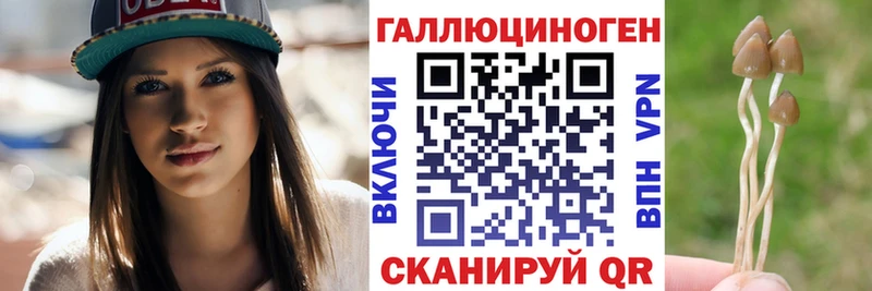 купить закладку  Кедровый  Псилоцибиновые грибы GOLDEN TEACHER 